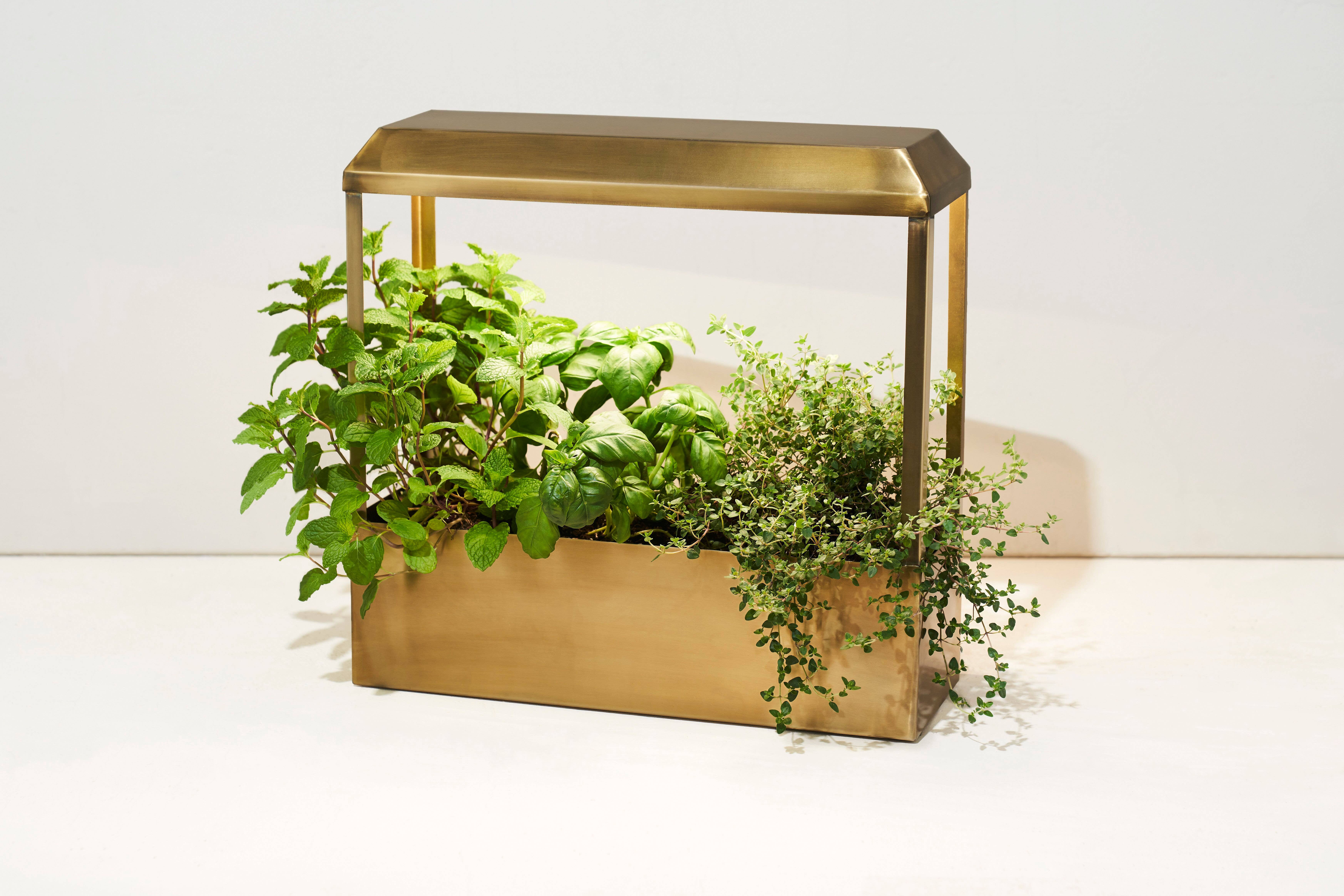 Modern Sprout - Wholesale Planter Box - Smart Growhouse - Brass2