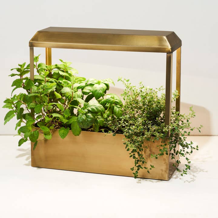 Modern Sprout - Wholesale Planter Box - Smart Growhouse - Brass2