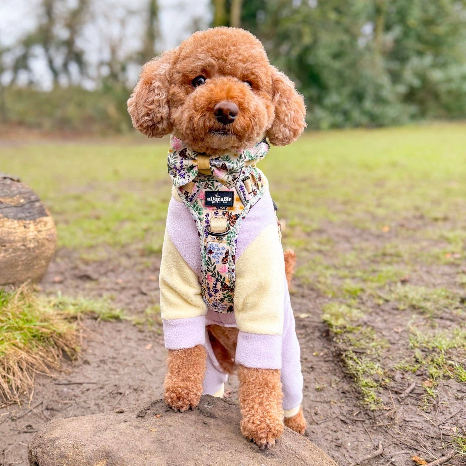 The aDoraBle Pooch Company – Arnês – Cão por atacado – Arnês Hike & Go Lite™ - Bumbles & Butterflies10