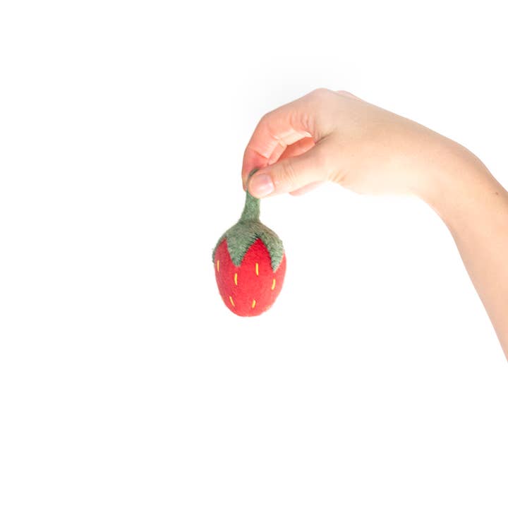 BUDDY. - Wholesale Pet Toy - Dog - BUDDY. Dog toy made of sheep wool "Strawberry"3