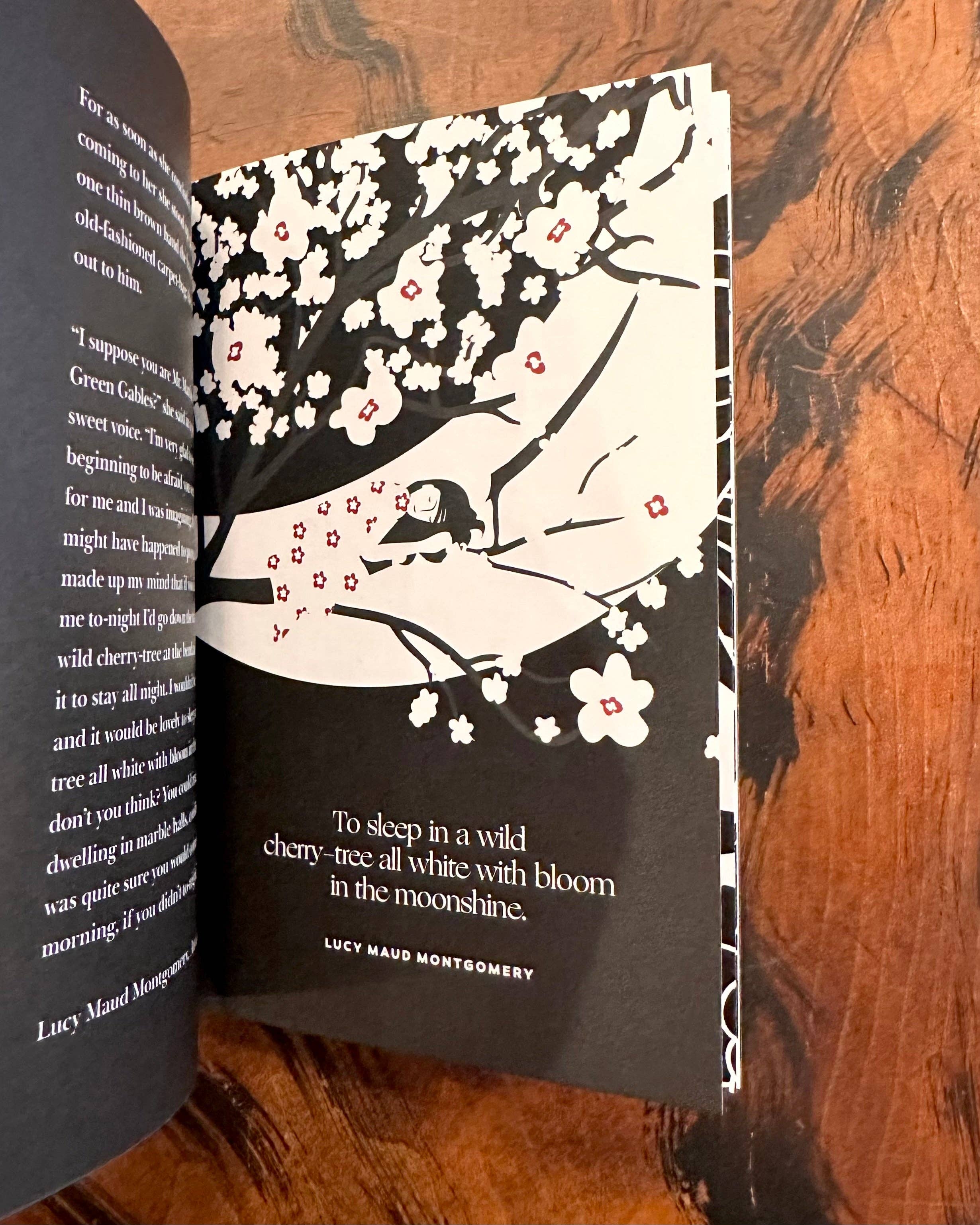 Obvious State - Wholesale Poetry & Drama - Women Writers, Collected Works6