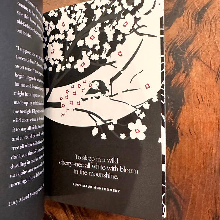 Obvious State - Wholesale Poetry & Drama - Women Writers, Collected Works6