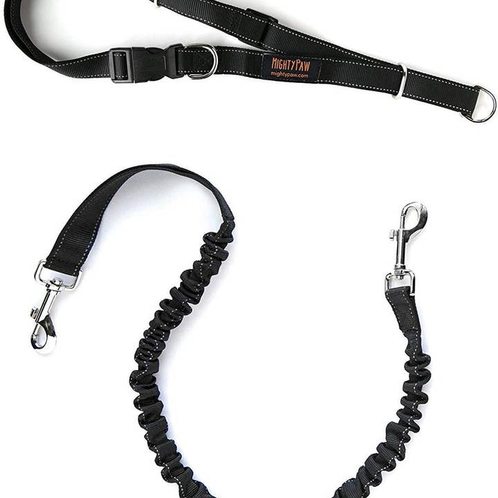 Mighty Paw - Wholesale Pet Leash - Dog - Hands Free Bungee Leash Set1