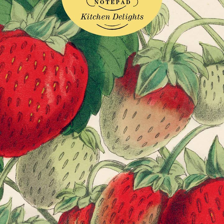 Hachette Book Group - Wholesale Notepad - John Derian Paper Goods: Kitchen Delights 80-Page Notepad