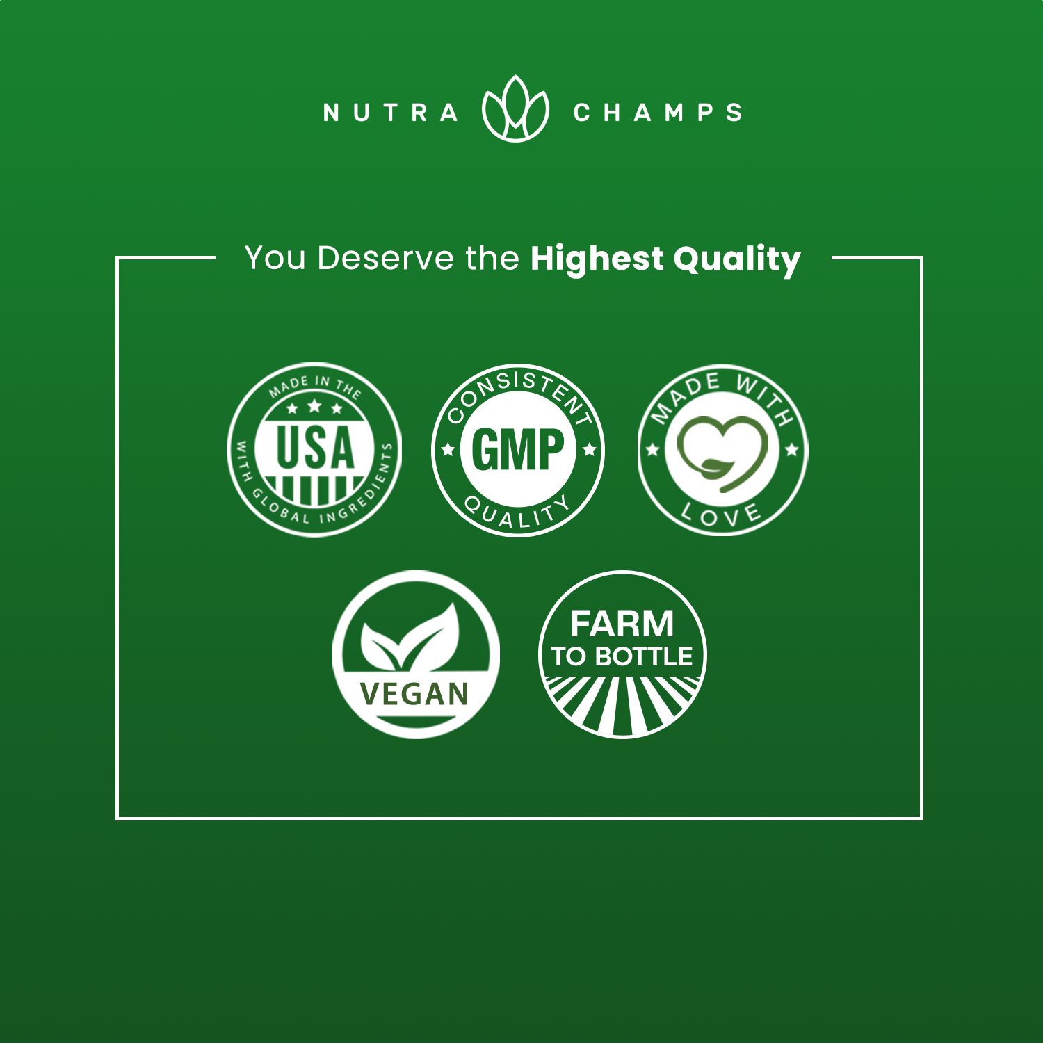 NutraChamps - Wholesale Protein/Superfood Powder - Super Greens Powder Premium Antioxidant Superfood 5