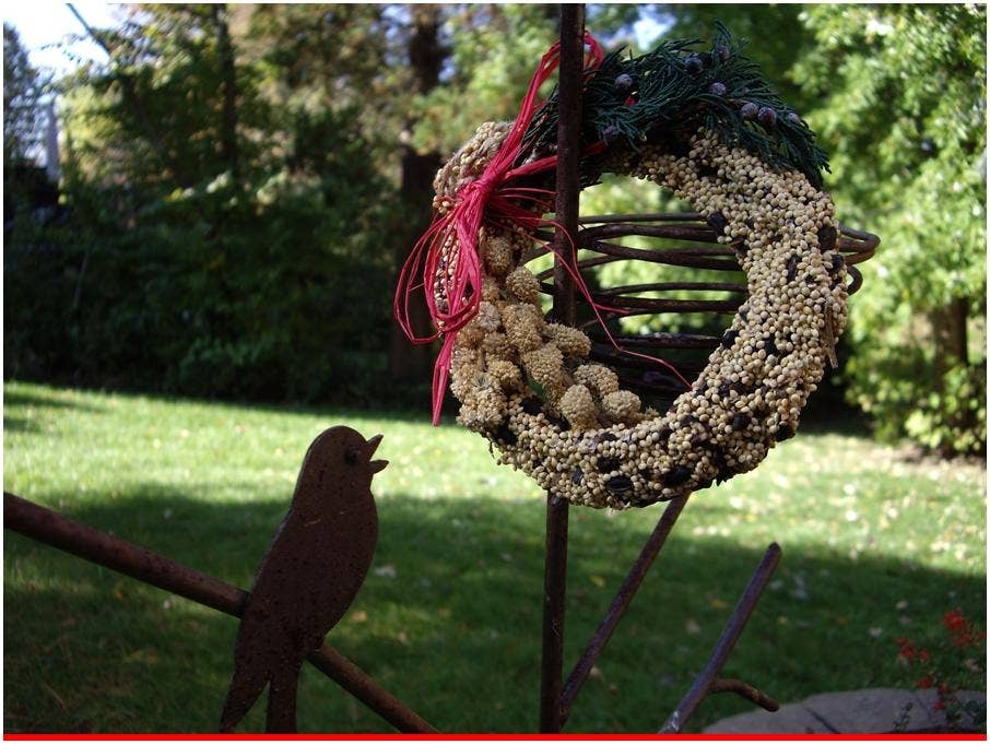 Mr Bird - Wholesale Wreath - Rustic Wreath2
