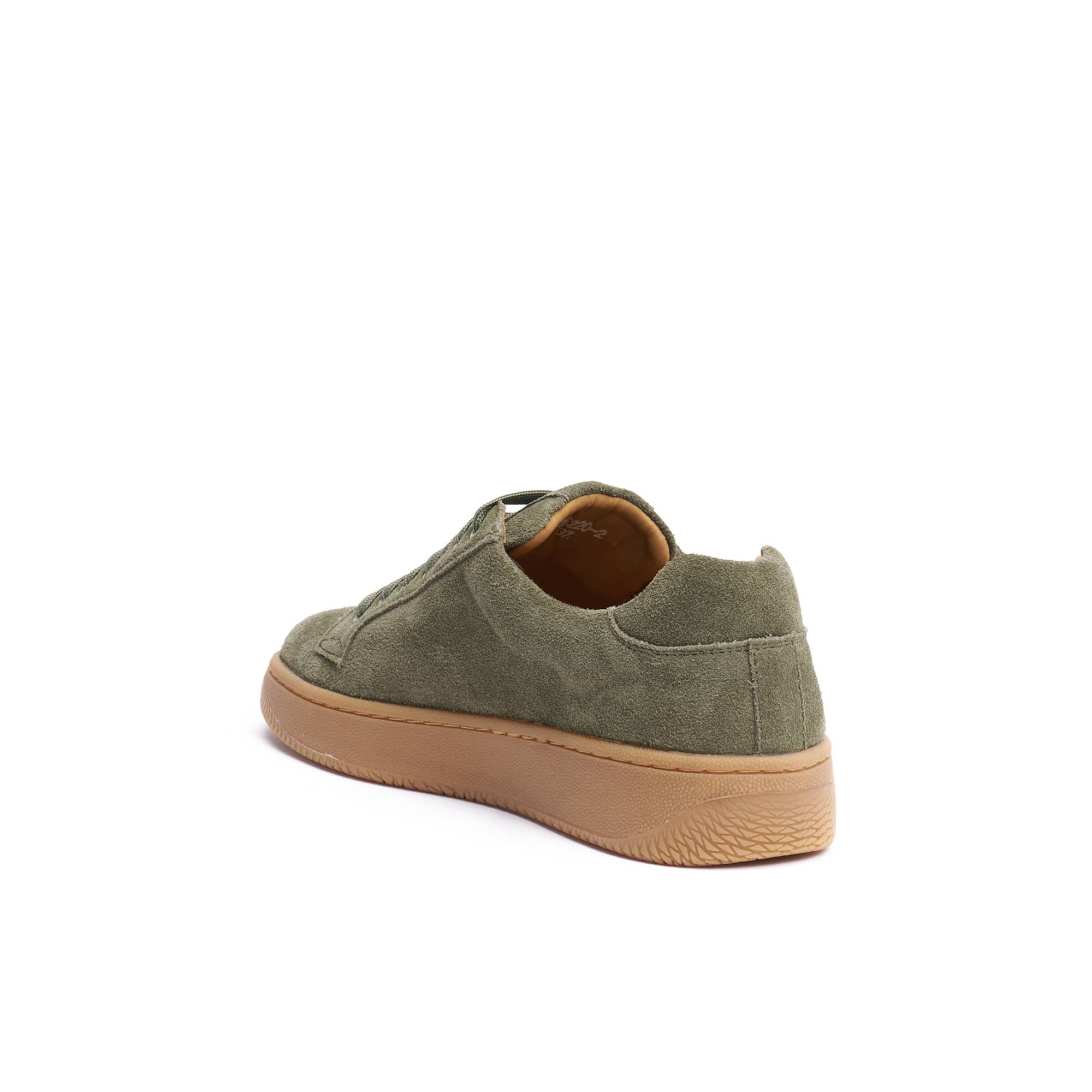 British Passport - Vendita all'ingrosso Sneakers di tendenza - Donna - Sneaker di colore Verde. Art. BP76482
