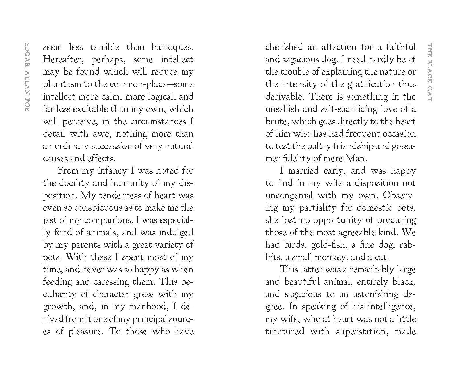 Applewood Books - Wholesale Classics - The Black Cat1