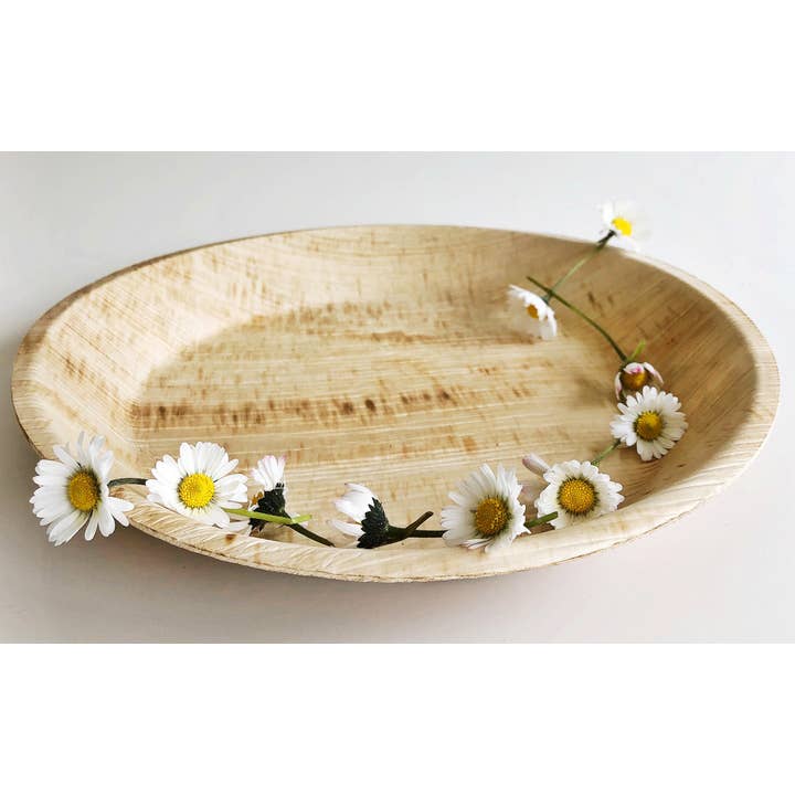 Teller Rund 5037 für den Großhandel von Ecovision Dinnerware