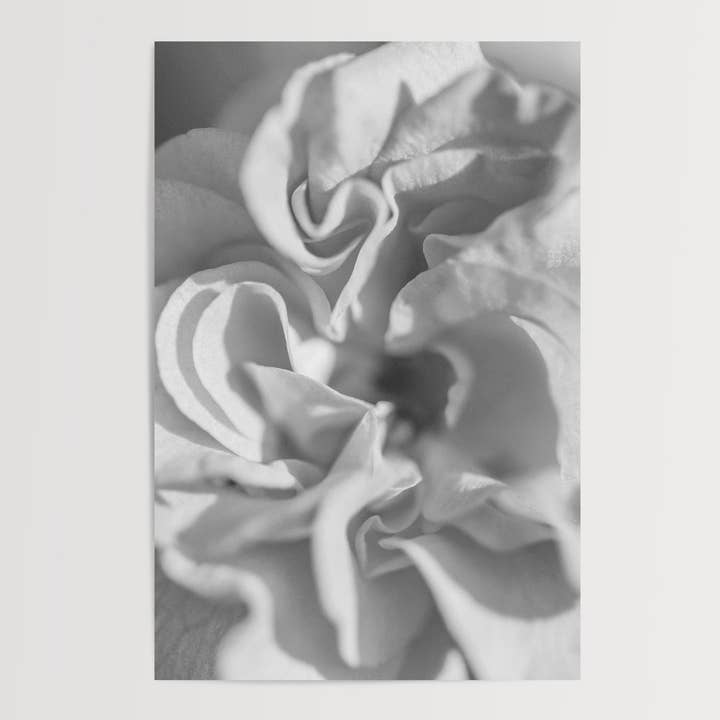 Abstract I, a Modern Black & White Botanical Fine Art Print for wholesale by Rachel Richards Fine Art