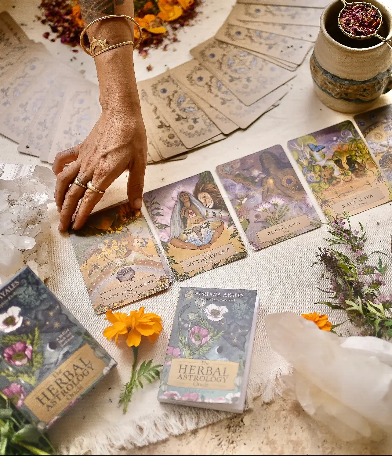 Anima Mundi Apothecary - Wholesale Tarot Cards - HERBAL ASTROLOGY Oracle | 55-Card Deck + Guidebook 1