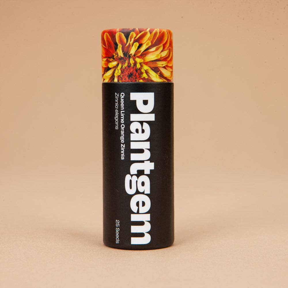 Plantgem - Wholesale Plant Seeds - Queen Lime Orange Zinnia - 25 Seeds0