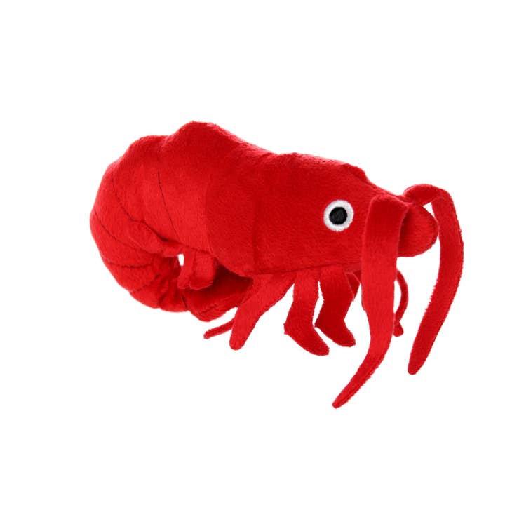 Tuffy Dog Toys - VIP Products - Wholesale Pet Squeaky Toy - Dog - Mighty Jr Ocean Prawn, Plush, Squeaky Dog Toy3