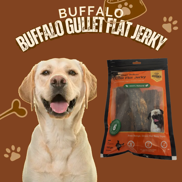 Advance Pet Products - Wholesale Pet Treats - Dog - Water Buffalo Gullet Flat Jerky0