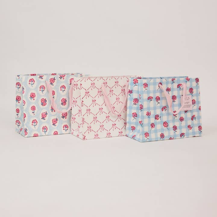 Borse regalo stampate a mano (medie) - Sorbetto rosa per la vendita all'ingrosso da parte di Paper Mirchi