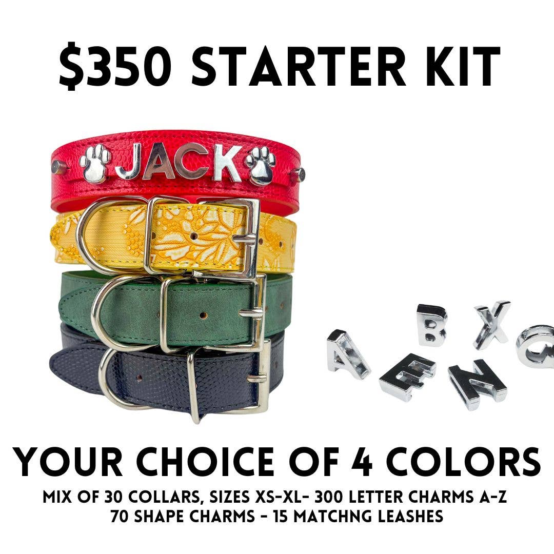 House of FurBaby – wholesale Halsband - Katt och hund – Gör-det-själv Startpaket för Husdjurskrage - Silver Matt (utan bling)5