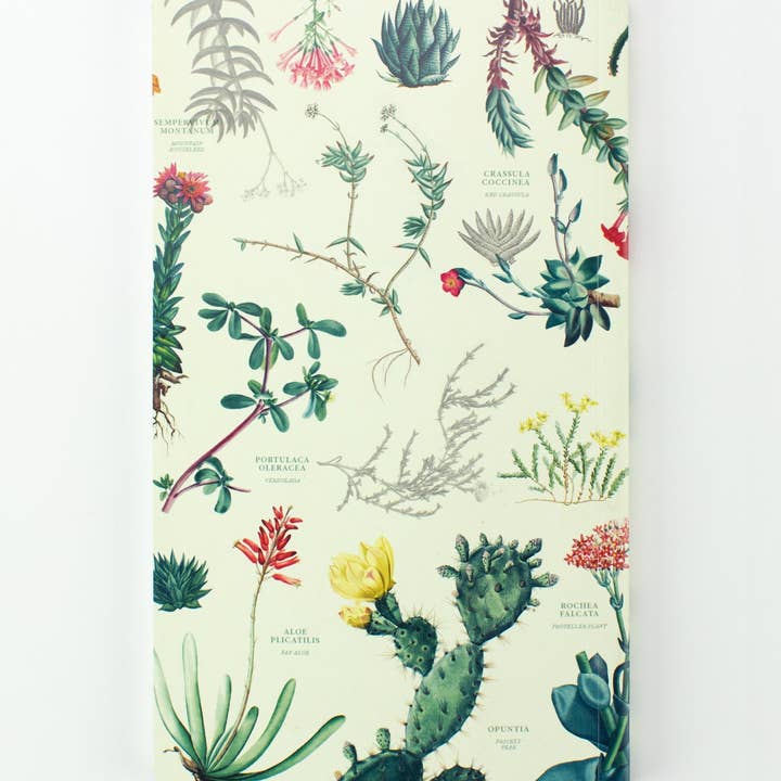 Cognitive Surplus - Wholesale Planner - Succulents Yearly Planner (Case of 6)1