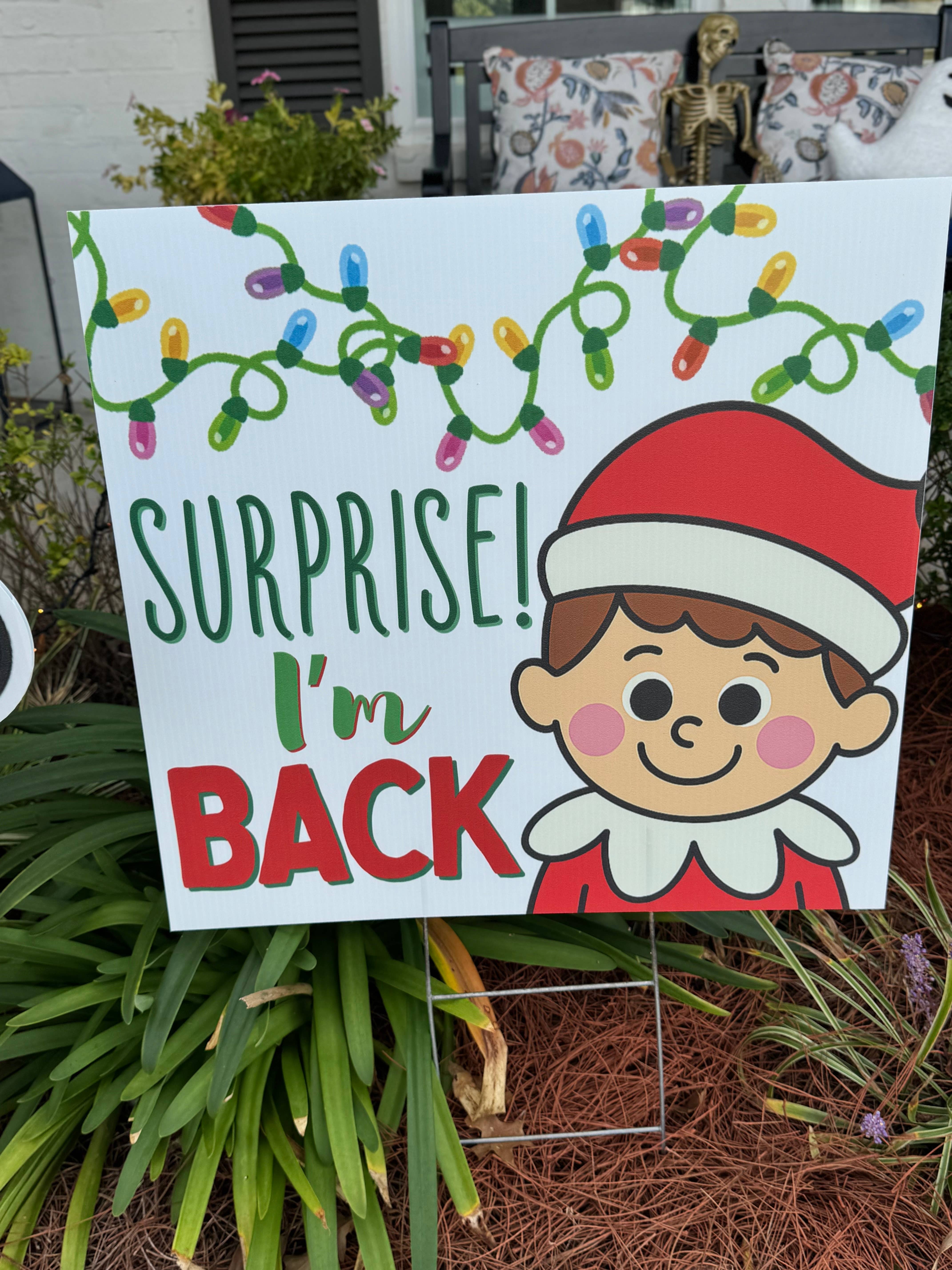 Lovely Reese – wholesale Outdoor sign – Surprise I’m Back 1