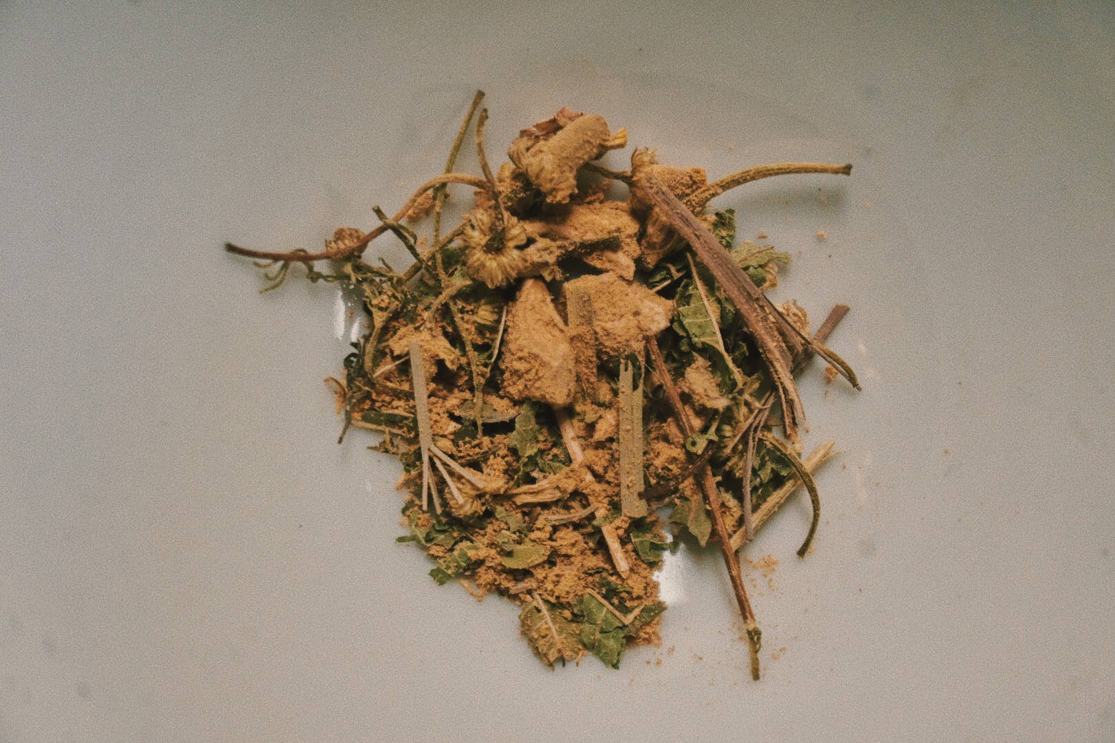 Zesty Lemon for wholesale by Zena