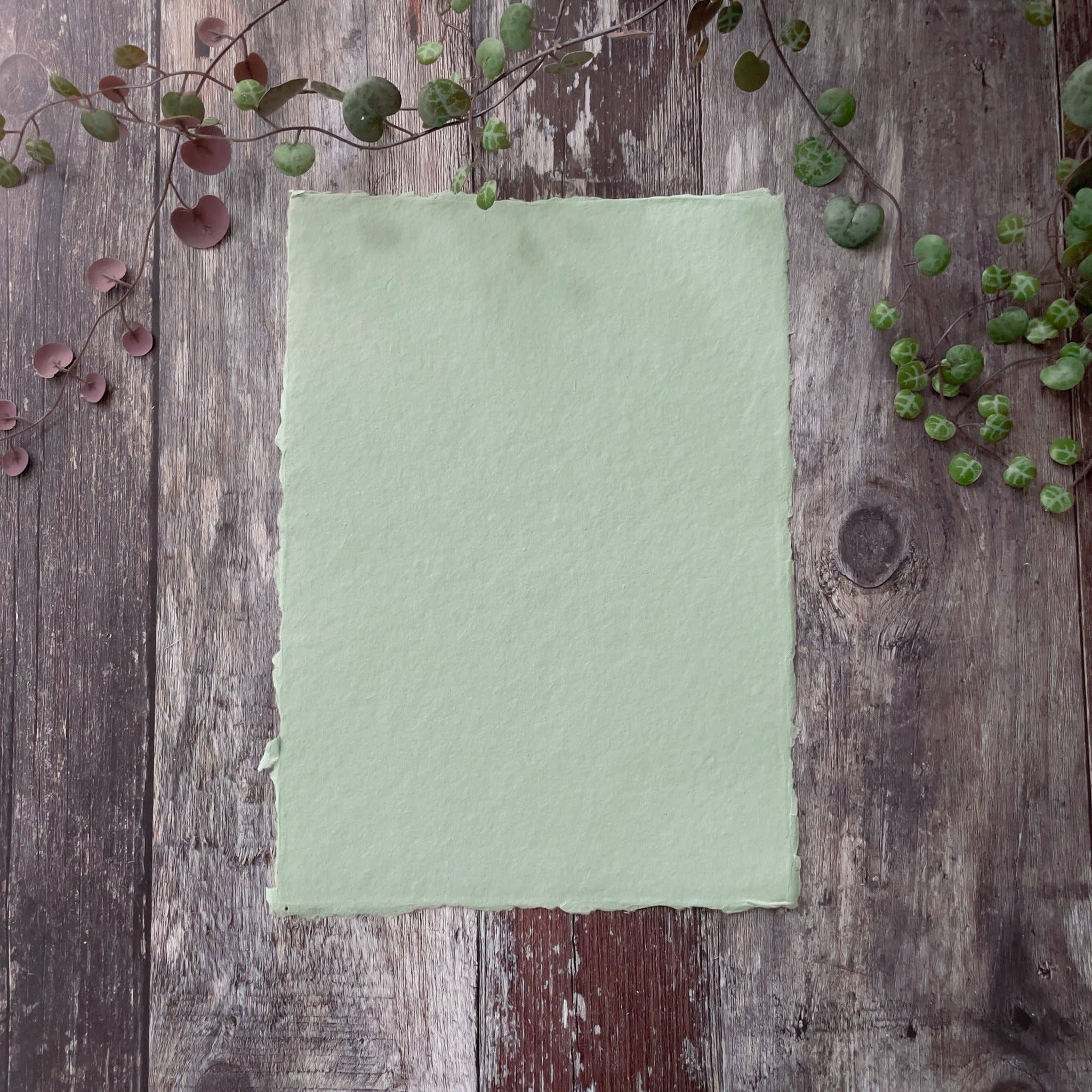 The Natural Paper Company - Wholesale Painting Paper - Dusky Green Handmade Paper | Pack of 5 | Recycled Cotton Rag3