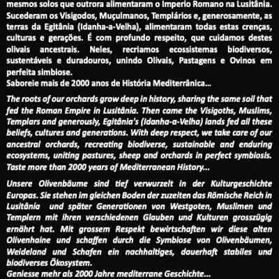 Geocakes – Engroshandel Olivenolie – Ekstra jomfru økologisk olivenolie 500ml - Egypten3