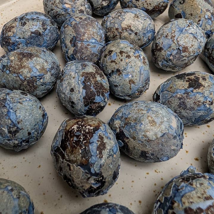 Boîte de 24 œufs pour la vente par A.T. Imports