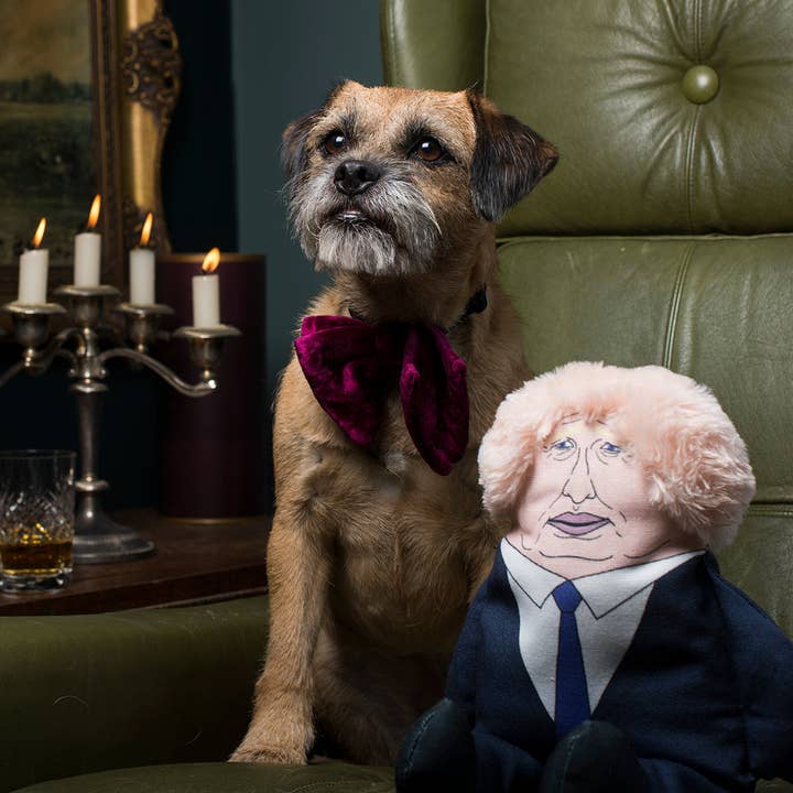 Pet Hates Toys - Wholesale Pet Plush Toy - Dog - Boris dog toy