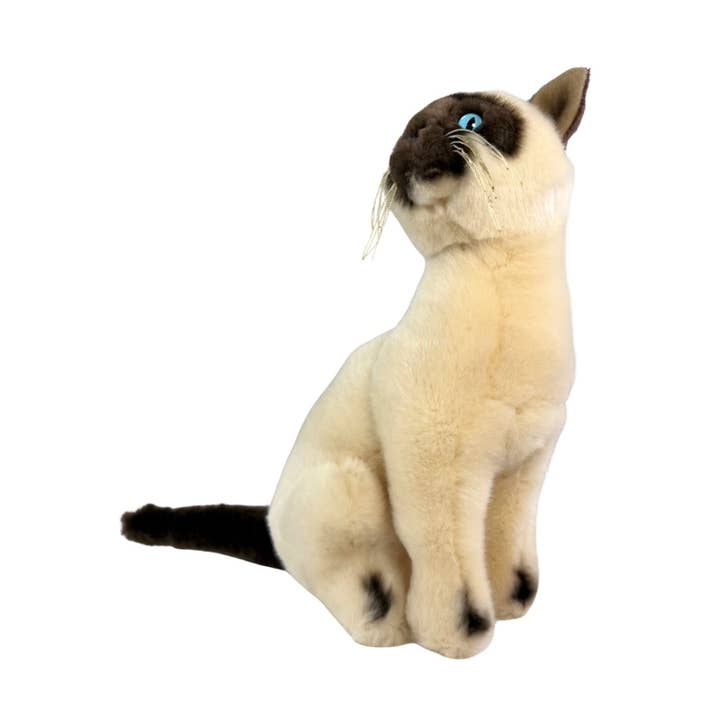 Bocchetta Plush Toys - Wholesale Pet Plush Toy - Dog - Noodles - Siamese Cat - 26cm sitting7