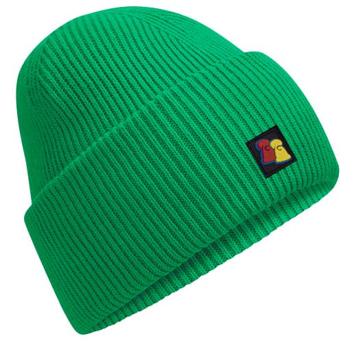 Kelly Green Ribbed Beanie for wholesale by Big Bobble Hats