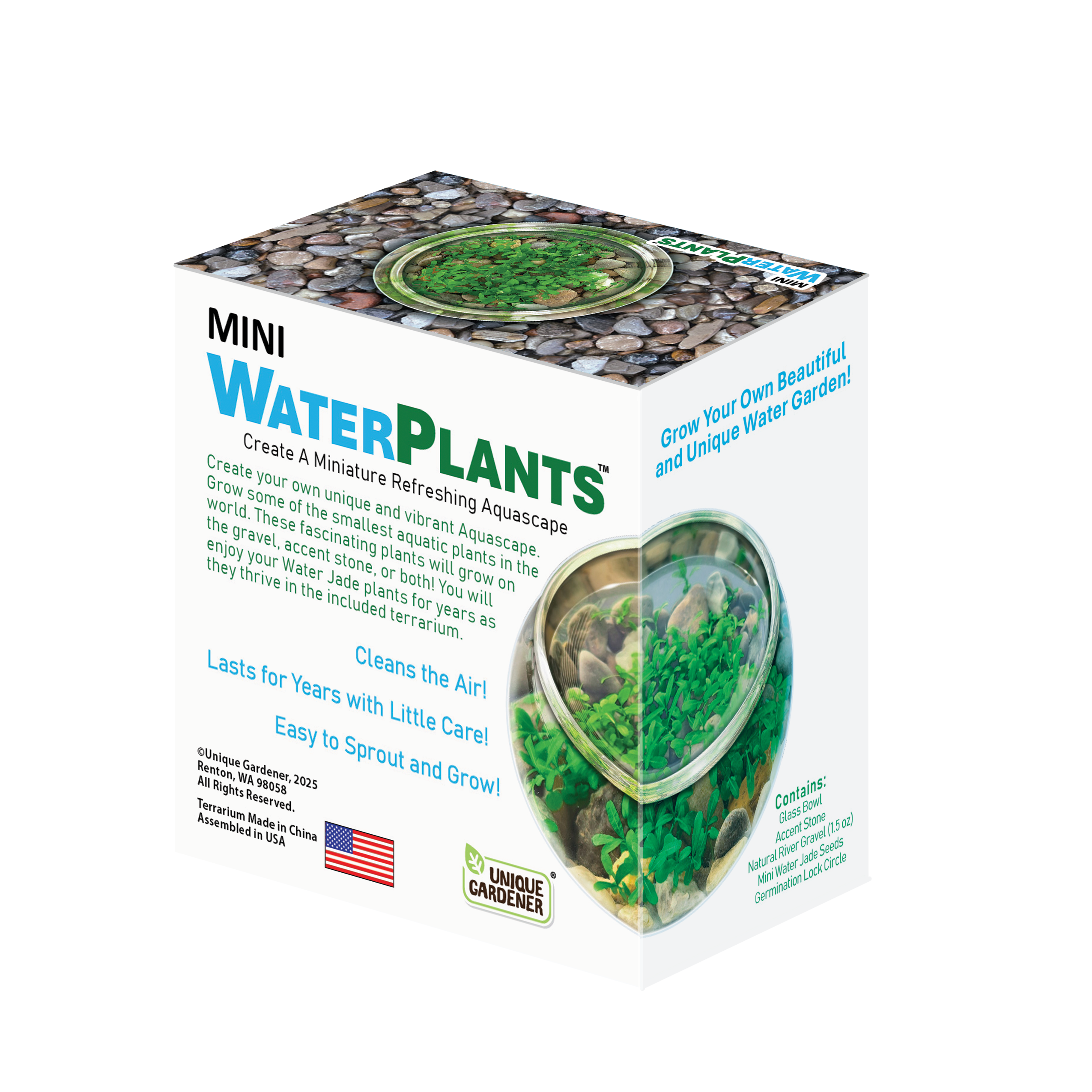 Silver Circle Products - Wholesale DIY Craft Kit - Mini WaterPlants Aquatic Terrarium2
