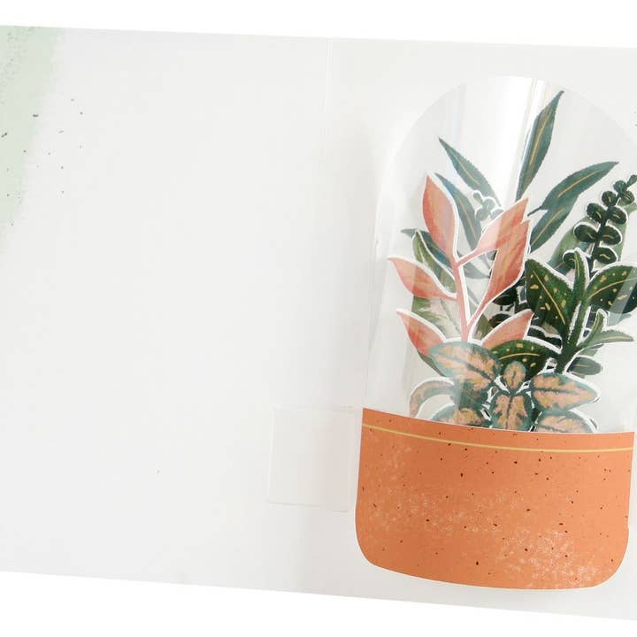 Cartão de luxo UWP Pure Alchemy com terrário por atacado de Popshots Studios