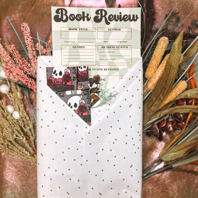 Encontro picante às cegas com um livro, Romance Escolha o seu nível de especiarias por atacado de Mida Bookish