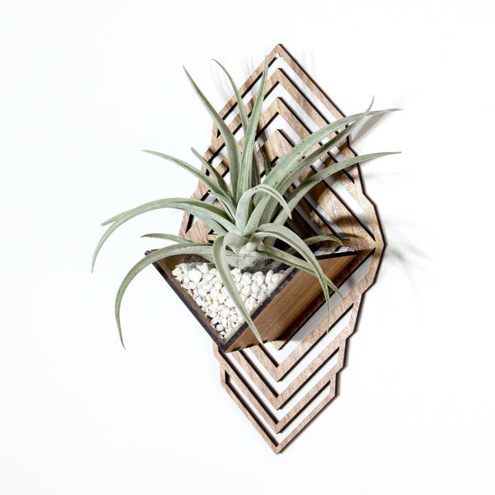 Sconce Wall Planter (large) / Wall Hanging Air Plant Holder for wholesale by LIGHT RAZOR DESIGN STUDIO