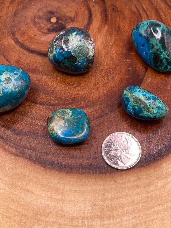 Chrysocolle Tumbled (M) pour la vente par Moonbeam Healing