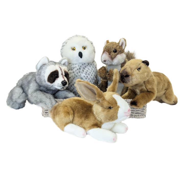 Giffa Gifts - Wholesale Stuffed/Plush Toy - Kids & Baby - Raccoon – Norman 9"1