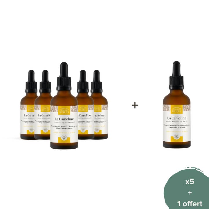Pack of 5 + 1 - Camelina Oil Organic for wholesale by COMPTOIR DES HUILES