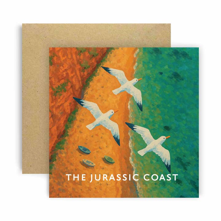 Carte de vœux amusante des mouettes de la côte jurassique pour la vente par Huxters