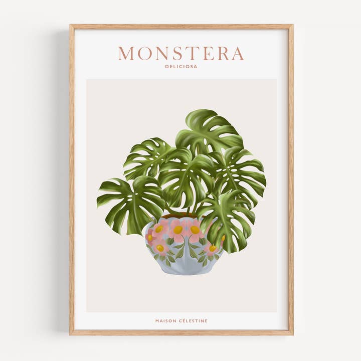 Display "House Plants" Monstera for wholesale by Maison Célestine