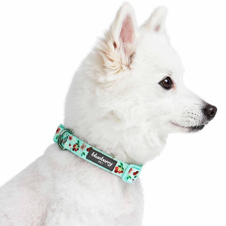 Blueberry Pet - Wholesale Pet Collar - Dog - Summer Floral Dog Collar in Pastel Colors for Girl Dogs15