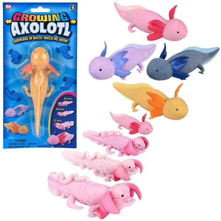 6" Growing Axolotl - LLB Toys for wholesale by La Luna Bella - Toys