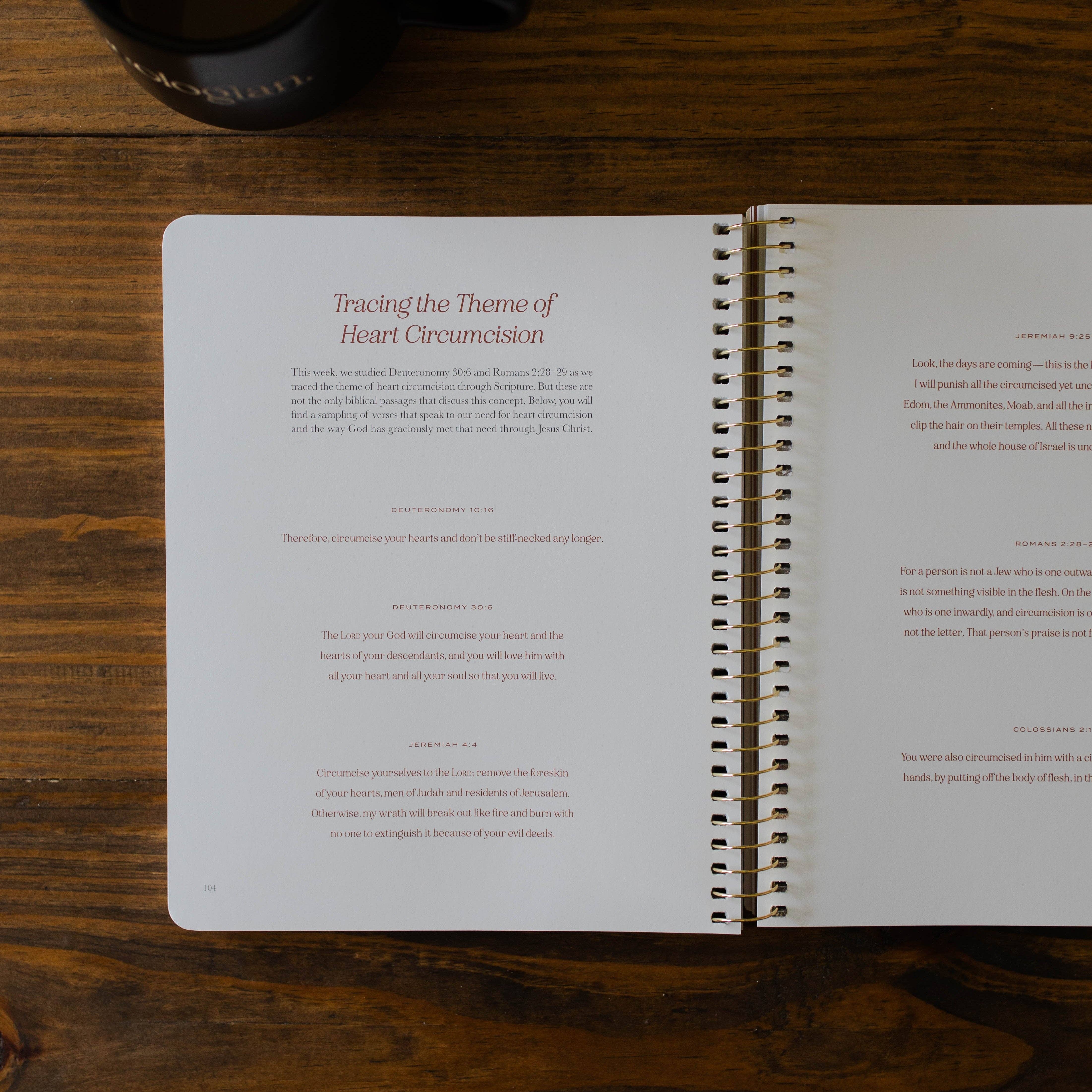 The Daily Grace Co - Vente Religion - Le Christ dans toutes les Écritures | Volume 2 | Hommes2