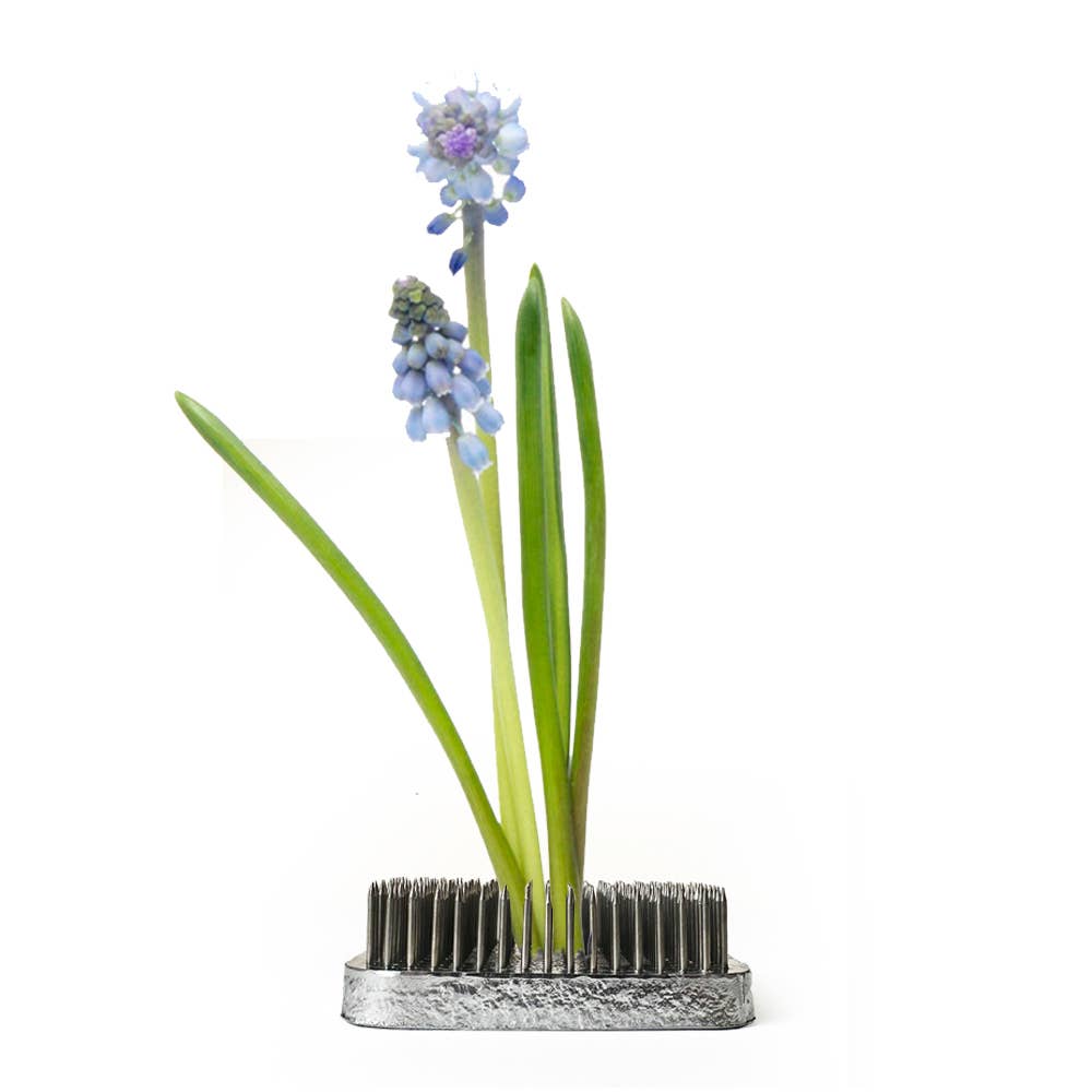 Chive - Wholesale Garden Tool - Kenzan Floral Frog for Vases Stainless Steel Flower Arranger12