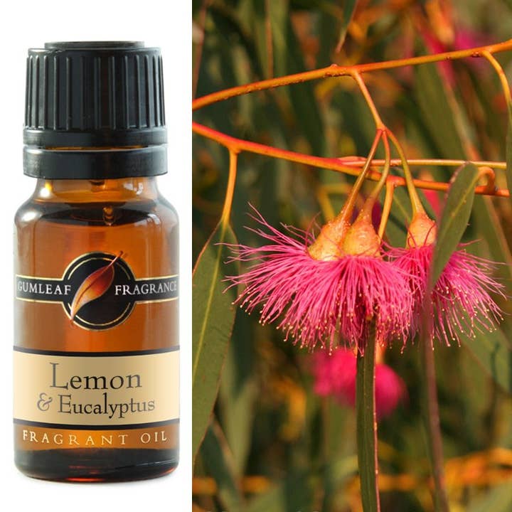 Buckley & Phillips Aromatics - Wholesale Fragrance oil - Lemon & Eucalyptus Fragrance Oil