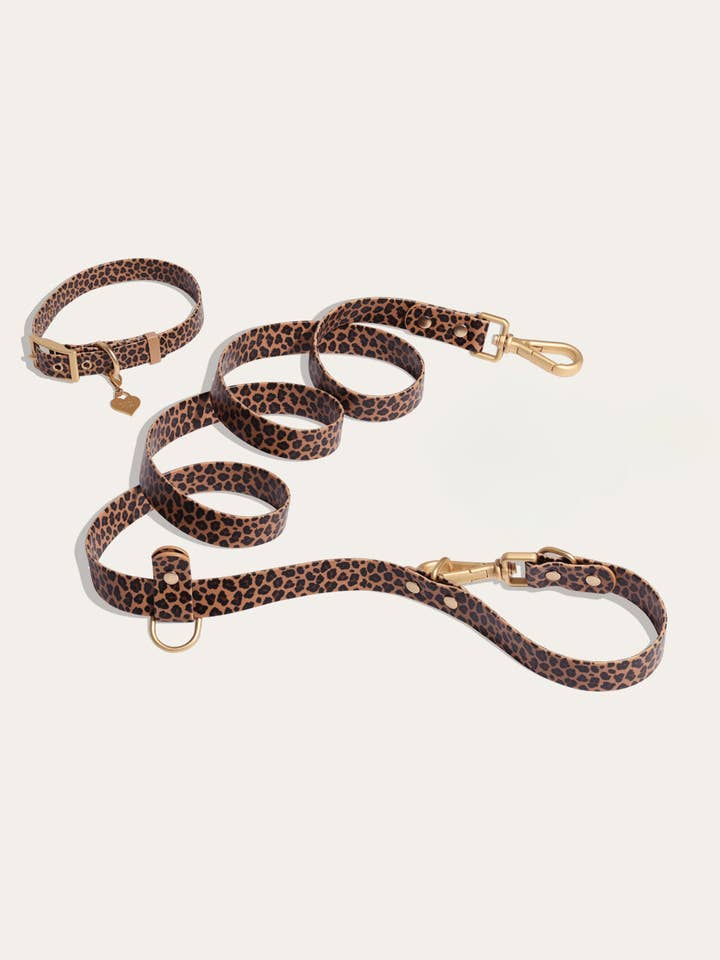 Wander! Waterproof Leopard Collar & Leash Kit for wholesale by FURRY MUSE