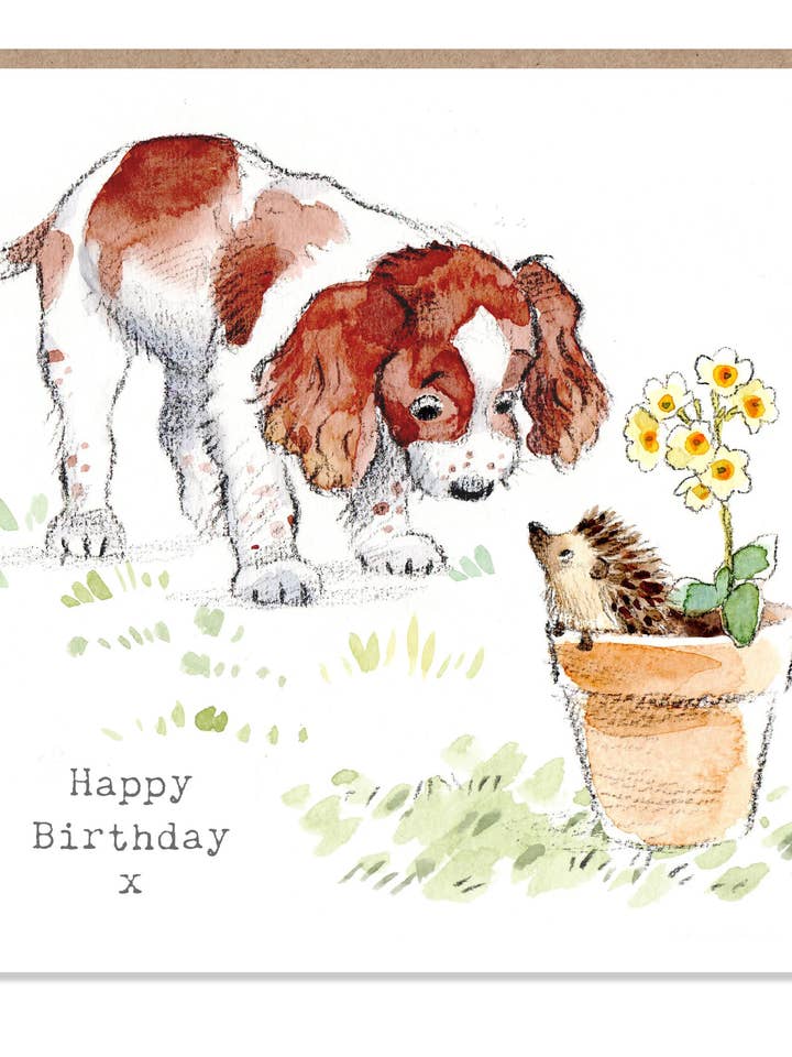 Cute Dog Birthday Card - Springer Spaniel With Hedgehog for wholesale by Paper Shed Design Ltd