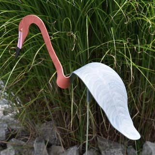 Reddish Egret for wholesale by Florida Dancing Birds