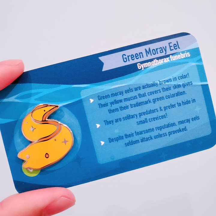 Informative Enamel Pin: Moray Eel for wholesale by Umvvelt LLC