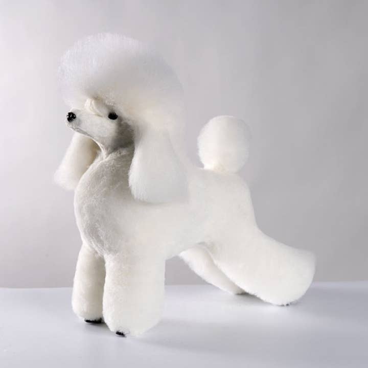 Artero Grafitti - Parrucca per Barboncino con Nodo Superiore per la vendita all'ingrosso da parte di The Petique Supplies