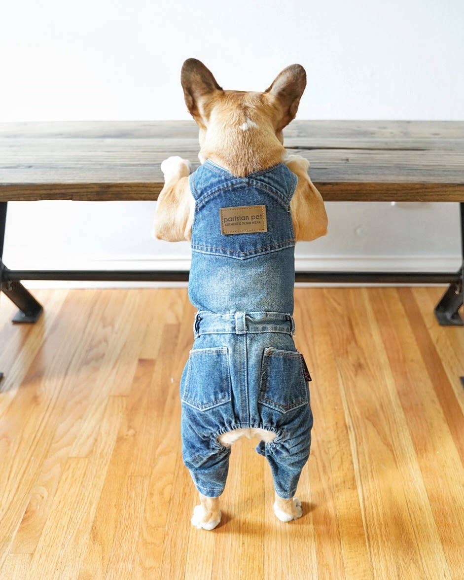 Parisian Pet® – wholesale Pet snood – Dog – Denim Overalls – Perfect Pet Outfit for Casual Wear2