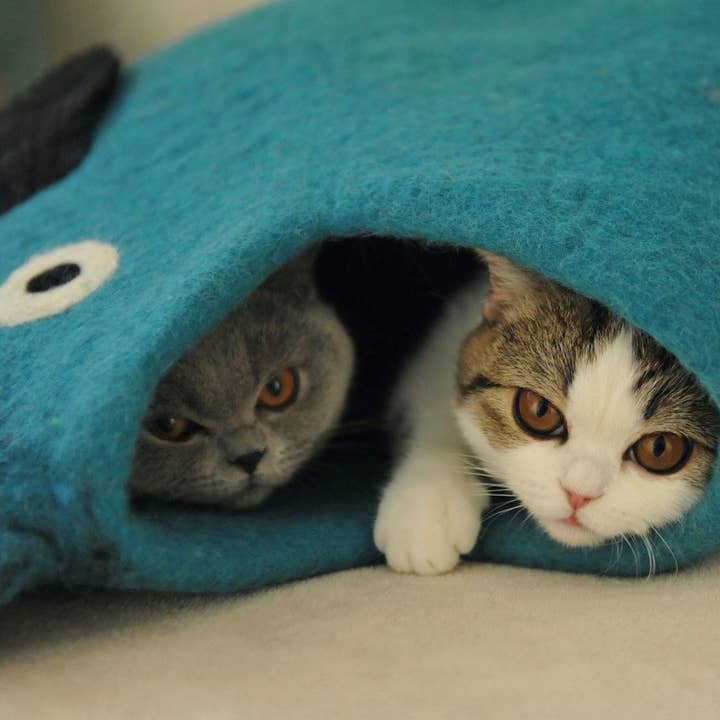 Cocoon van wol voor katten of kleine honden in dierenvorm voor wholesale door COCOON - Paris